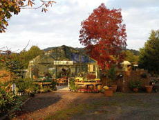 View of Cove Garden Nursery in Autumn